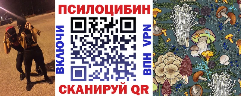 Галлюциногенные грибы Psilocybe  Агидель 